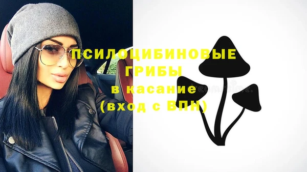 ГАЛЛЮЦИНОГЕННЫЕ ГРИБЫ Усмань